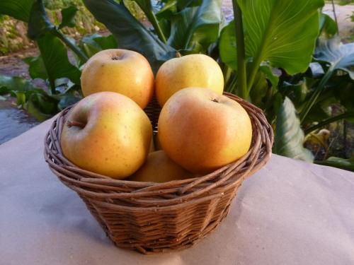 Belchard Chanteclerc